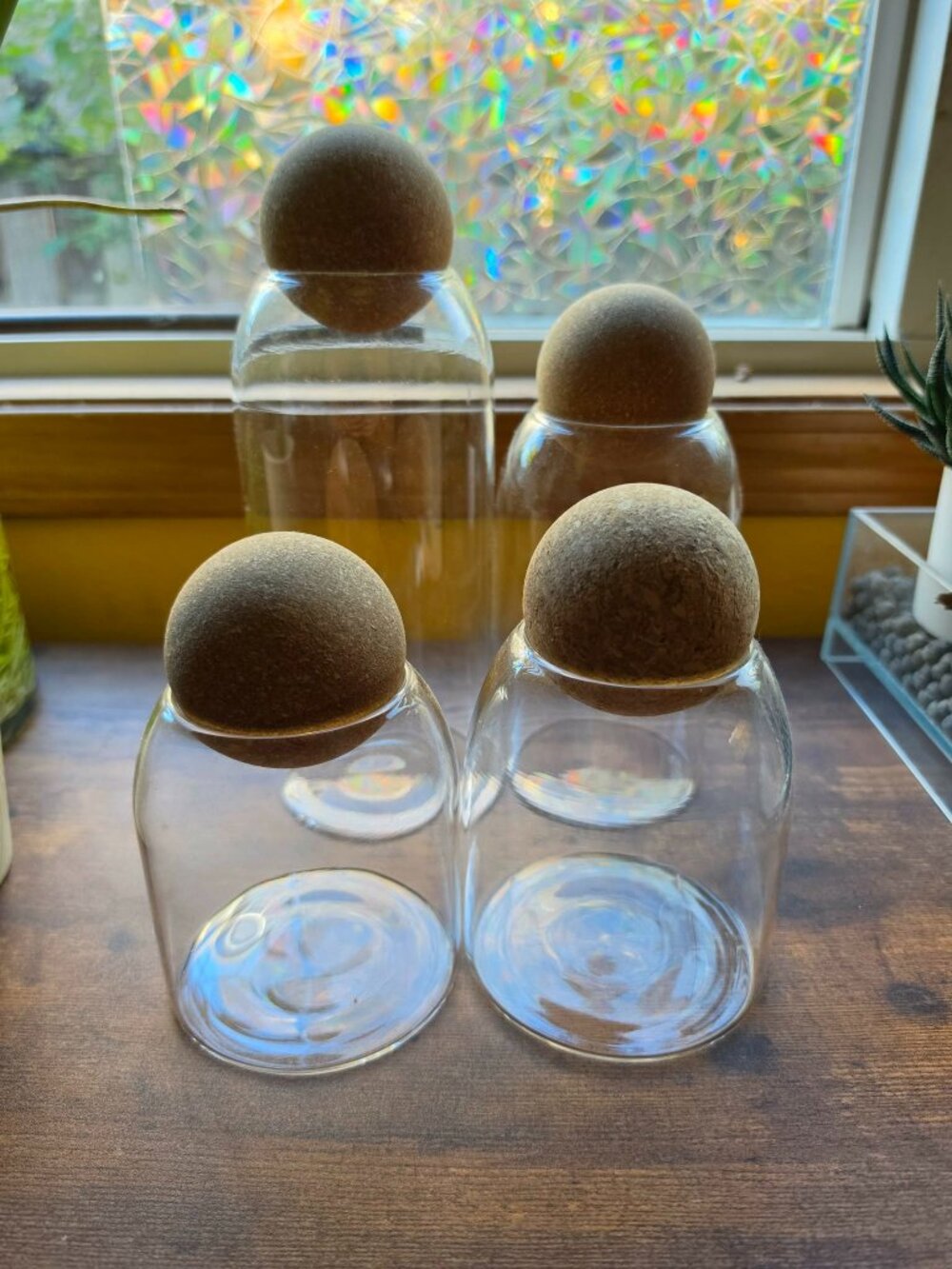 4Pcs/Set Glass Jars with Ball Cork Lid